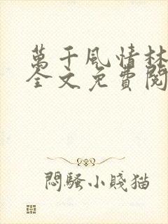 万千风情林小涛全文免费阅读封面