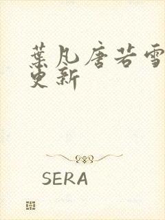 叶凡唐若雪王婿更新