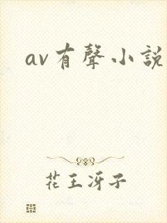 av有声小说
