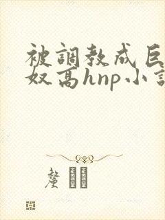 被调教成巨乳奶奴高hnp小说