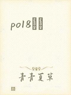 po18С˵