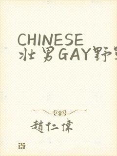 CHINESE壮男GAY野战强迫TUBE