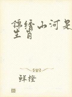 锦绣山河是什么生肖封面