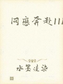 网恋奔赴11h封面