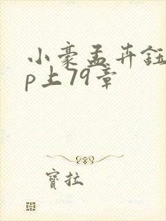 小豪孟卉钰慧三p上79章