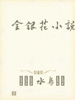 金银花小说乐可