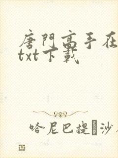 唐门高手在异世txt下载