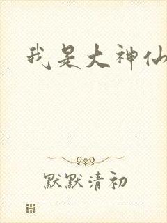 我是大神仙小说