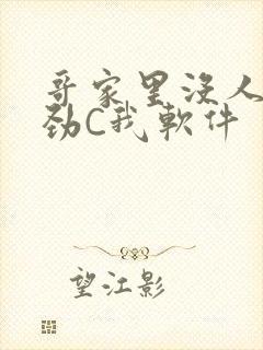 哥家里没人使点劲C我软件