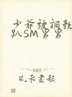 少爷被调教室跪趴SM男男封面