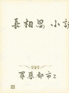 长相思 小说