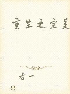 重生之完美一生封面