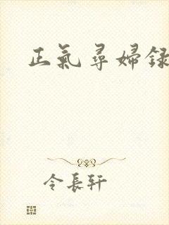 正气寻妇录