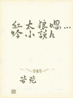 红太狼嗯…啊呻吟小说h封面