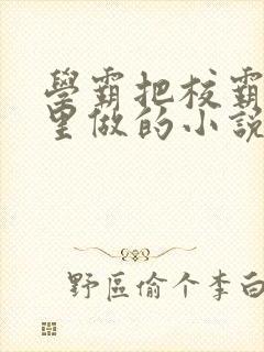 学霸把校霸往死里做的小说