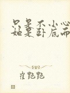 只是不小心发现她是卧底而已