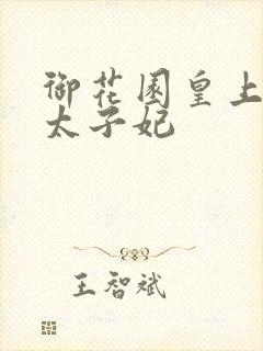 御花园皇上撞着太子妃