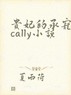 贵妃的承宠日常cally小说封面