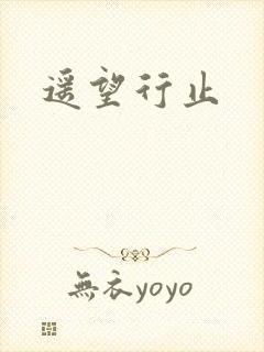 遥望行止封面