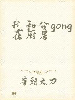 我和公gong在厨房