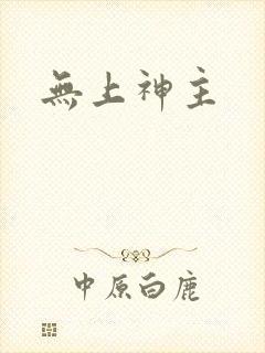 无上神主封面