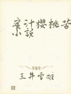 蜜汁樱桃苦咖啡小说