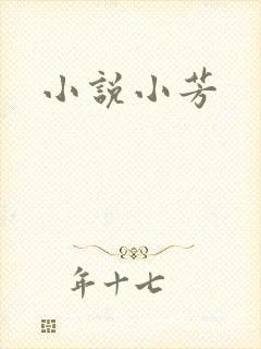 小说小芳