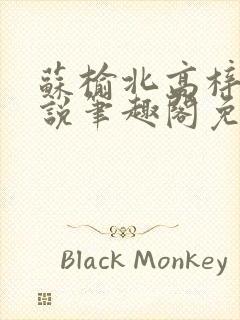 苏榆北高梓淇小说笔趣阁免费阅读封面