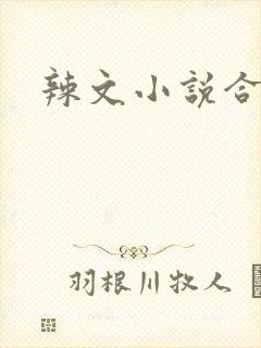 辣文小说合集
