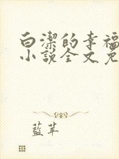 白洁的幸福生活小说全文免费笔趣阁阅读封面