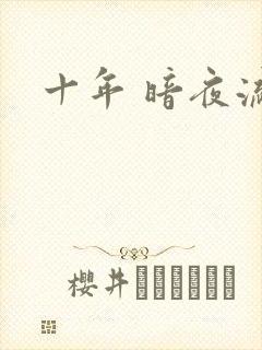 十年 暗夜流光