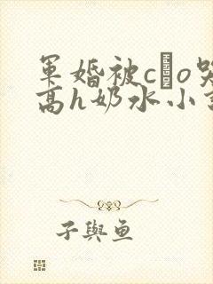 军婚被cαo哭高h奶水小说封面