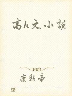 高h文小说封面