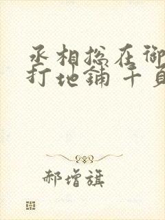 丞相总在御书房打地铺 千页封面