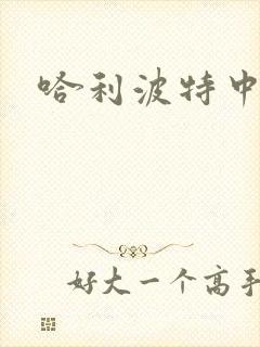 哈利波特中文版封面