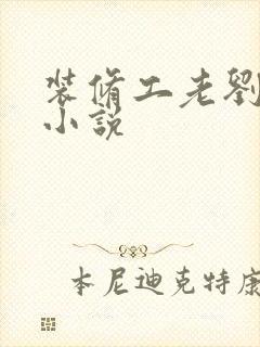 装修工老刘林雪小说封面