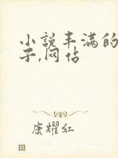 小说丰满的大奶子,网站