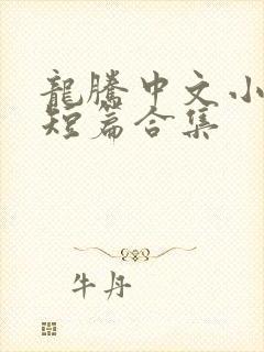 龙腾中文小说网短篇合集