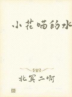 小花喵的水蜜桃