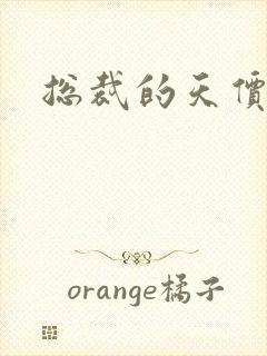 总裁的天价宠妻封面