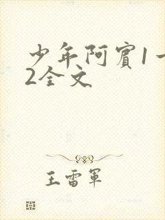 少年阿宾1一72全文