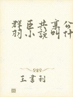 群臣共享公主银羽小说叫什么