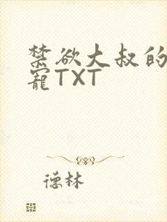 禁欲大叔的心尖宠TXT
