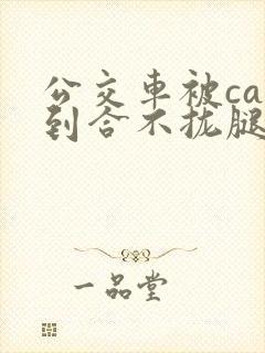 公交车被cao到合不拢腿视频