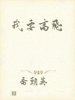 我要高飞封面