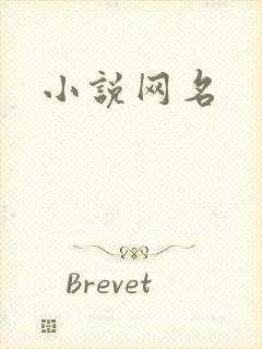小说网名