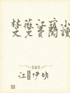 林薇江宿小说全文免费阅读无弹幕