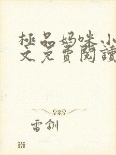 极品妈咪小说全文免费阅读