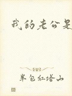 我的老公是冥王