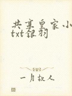 共享皇家小公主txt银羽